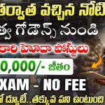 CWC Recruitment 2025 : రాత పరీక్ష లేకుండా ప్రభుత్వ గోడౌన్స్ లలో ఉద్యోగాలు