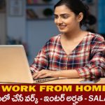 తెలుగులో ఇంటి నుండి చేసే ఉద్యోగాలు  – ఇంటర్ అర్హత- Ditto Work from Home Jobs 2025