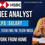 HSBC Off Campus Drive 2025 : ఫ్రెషర్స్ కోసం ట్రైనీ అనలిస్ట్ ఉద్యోగాలు | నెలకు ₹70,000 వరకు జీతం