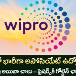 Wipro Associate Jobs 2025 : ఫ్రెషర్స్ కోసం భారీ ఉద్యోగాలు | Any Degree తో Apply చేయండి