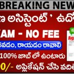 ICAR Hyderabad Jobs 2025 – ₹30,000 Salary – No Exam Young Professional Posts