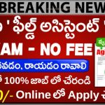 CIWA Field Assistant Jobs 2025 – Hyderabad Posting, No Exam, Direct Selection!