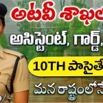 ICFRE TFRI Group C Jobs 2025: ఫారెస్ట్ శాఖలో కొత్త ప్రభుత్వ ఉద్యోగాలు