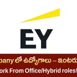 EY Recruitment 2025: గ్రాడ్యుయేట్‌లకు గుడ్ న్యూస్ – Analyst జాబ్స్ రావచ్చేసాయి!