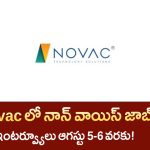 Novac Non Voice Jobs 2025 : నోవాక్ కంపెనీలో ఉద్యోగాలు నెలకి 25,000 వేతనం!