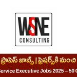 Hyderabad Customer Service Executive Jobs 2025 | హైదరాబాద్ కస్టమర్ సర్వీస్ వాయిస్ ప్రాసెస్ రిక్రూట్మెంట్ | Wsne Consulting Jobs