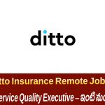 Ditto Insurance Customer Service  Quality Executive ఉద్యోగం పూర్తి వివరాలు