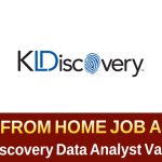 KLDiscovery Data Management Analyst Jobs | Work From Home Jobs