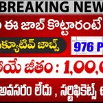 AAI Junior Executive Jobs 2025 – ఎయిర్పోర్ట్స్ అథారిటీ ఆఫ్ ఇండియా జూనియర్ ఎగ్జిక్యూటివ్ రిక్రూట్మెంట్ వివరాలు