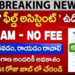 ICFRE Hyderabad Field Assistant Jobs 2025 – అడవి పరిశోధన ఉద్యోగాలు Walk-in Interview