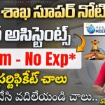 NIELIT Recruitment 2025 Notification – 81 Posts Apply Online | NIELIT ఉద్యోగాలు 2025 పూర్తి వివరాలు