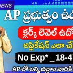 AP ప్రభుత్వ డేటా ఎంట్రీ ఆపరేటర్ జాబ్స్ – 2025 | AP Data Entry Operator Jobs 2025