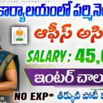 Oil India Limited Junior Office Assistant Jobs 2025 – జూనియర్ ఆఫీస్ అసిస్టెంట్ ఉద్యోగాలు – Apply Online