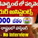 కరెంట్ డిపార్ట్మెంట్ లో పర్మినెంట్ జూ అసిస్టెంట్ ఉద్యోగాలు l WAPCOS Jobs 2025