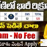 SCCL Recruitment 2025 : సింగరేణిలో రాత పరీక్ష లేకుండా 525 పోస్టులు