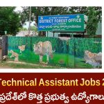 AP లో టెక్నికల్ అసిస్టెంట్ ఉద్యోగాలు | AP Technical Assistant Jobs 2025 | AP Government Jobs 2025