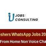 Freshers Chat WhatsApp Process Jobs 2025 | Work From Home Non Voice ఉద్యోగాలు
