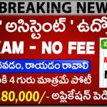 Village Assistant Jobs Hyderabad 2025 | విలేజ్ అసిస్టెంట్ ఉద్యోగాలు – Walk-in Interview @ Nutrihub IIMR