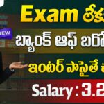 BOB Capital Business Development Manager Jobs 2025 | బిజినెస్ డెవలప్మెంట్ మేనేజర్ జాబ్స్ ఫుల్ డీటైల్స్ | Latest Jobs In telugu