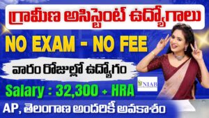 NIAB Project assistant jobs