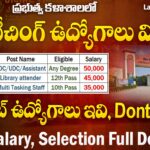 Govt Jobs : ప్రభుత్వ కళాశాలలో పర్సనల్ అసిస్టెంట్, MTS, క్లర్క్, లైబ్రరీ అటెండర్స్ జాబ్స్ వచ్చేశాయి | CUSB Non Teaching Notification 2025 Apply Now