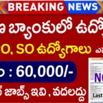 Nainital Bank Recruitment 2025 – క్లర్క్, PO, SO ఉద్యోగాలు , ఎవరికీ తెలీదు Salary 60,000