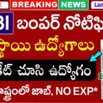 SBI SO Recruitment 2025 – 996 పోస్టులకు భారీ నోటిఫికేషన్ – పూర్తిగా తెలుగులో వివరాలు | latest Govt jobs In telugu