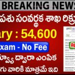 NIAB Recruitment 2026 – జూనియర్ టెక్నికల్ ఆఫీసర్, సీనియర్ టెక్నికల్ ఆఫీసర్ ఉద్యోగాలకు దరఖాస్తులు ఆహ్వానం