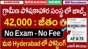 NIN Recruitment 2026 Application Process