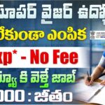 Govt Jobs : ICMR NIIRNCD లో Field Supervisor ఉద్యోగాలు | Walk-in Interview | ₹40,000 జీతం | ICMR Recruitment 2026