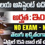 Tata Memorial Centre Jobs 2026 : ఇంటర్ తో సచివాలయ అసిస్టెంట్ ఉద్యోగాలు | Direct Interview ద్వారా జాబ్ | TMC Visakhapatnam Recruitment 2026 Apply Now