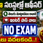 NABFINS Jobs 2026 : ఇంటర్ పాస్ వారికి Customer Service Officer ఉద్యోగాలు | No Exam | NABFINS Recruitment Apply